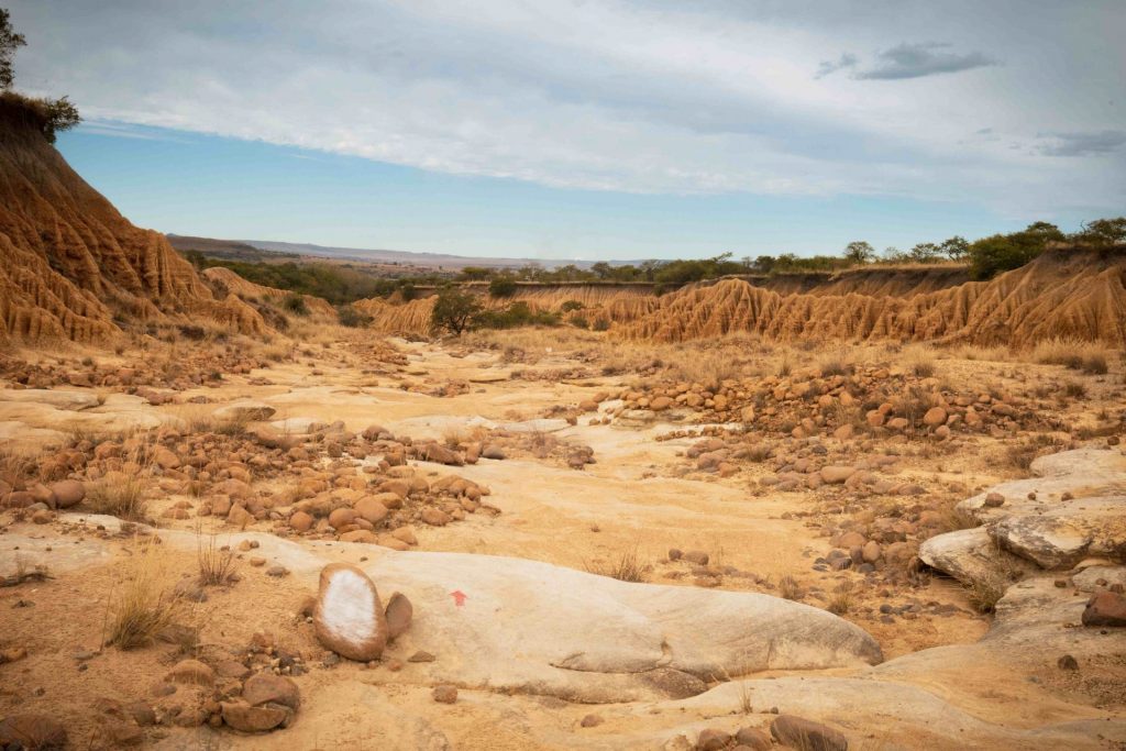 Donga-trail-3-trip-e1701683009748